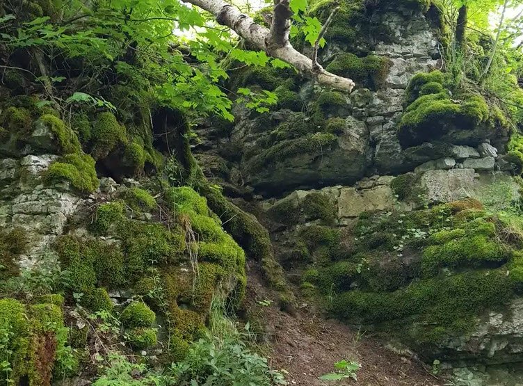 Burgruine Wildenstein, Dannenfels, Germany, Germany